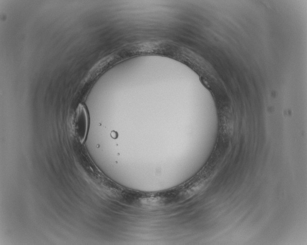 X0000072950216200608111634