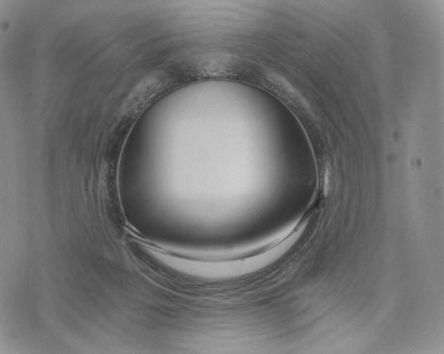 X0000072950217200608111634