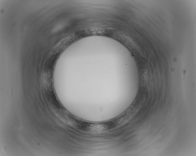 X0000072950218200608111634