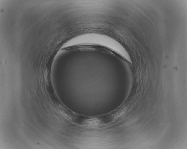 X0000072950219200608111634