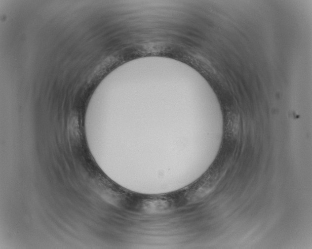 X0000072950220200608111634