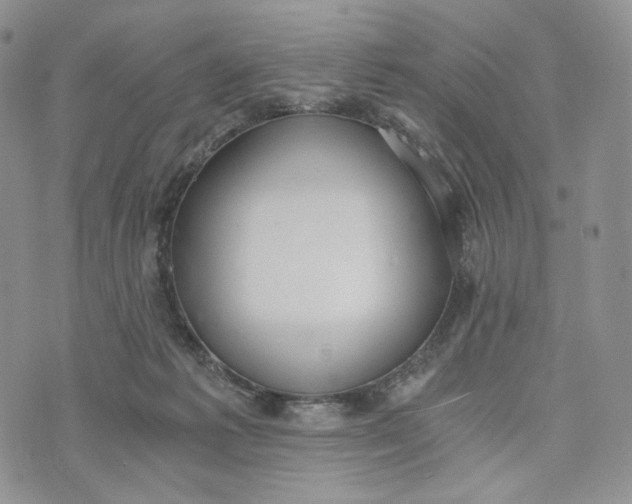 X0000072950221200608111634