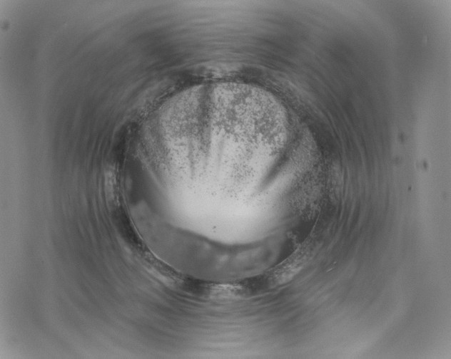 X0000072950222200608111634