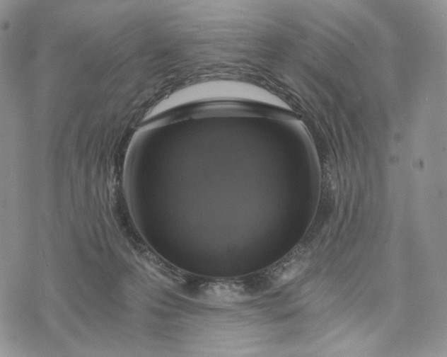 X0000072950223200608111634