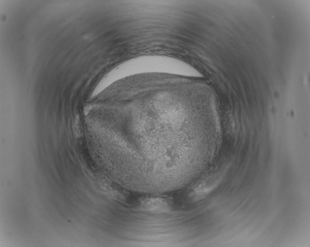 X0000072950224200608111634