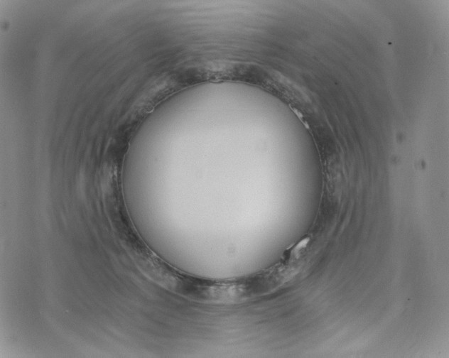 X0000072950225200608111634