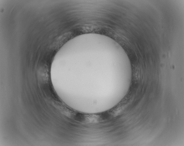 X0000072950226200608111634