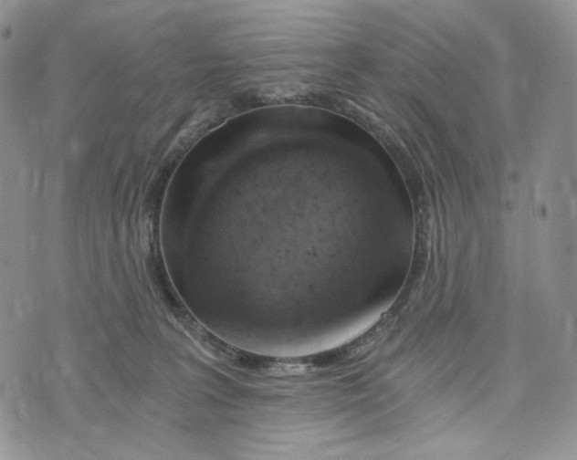 X0000072950227200608111634