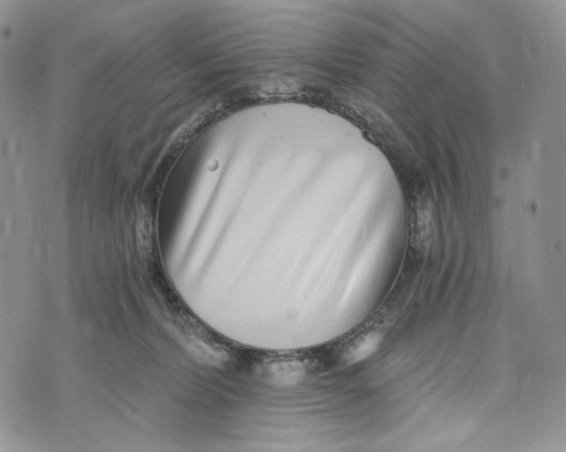 X0000072950228200608111634