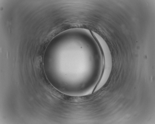 X0000072950229200608111634