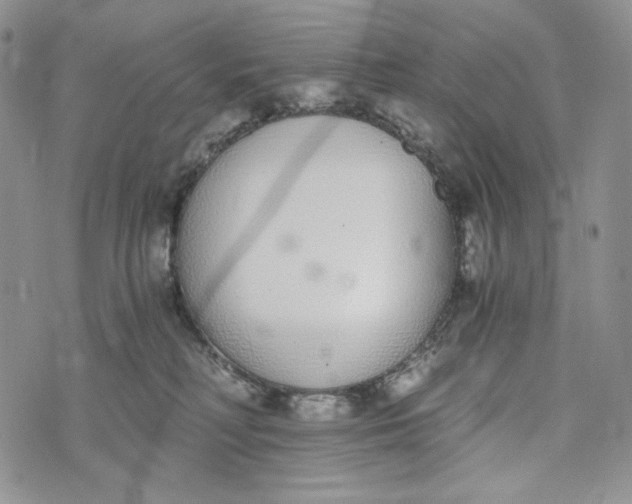 X0000072950230200608111634