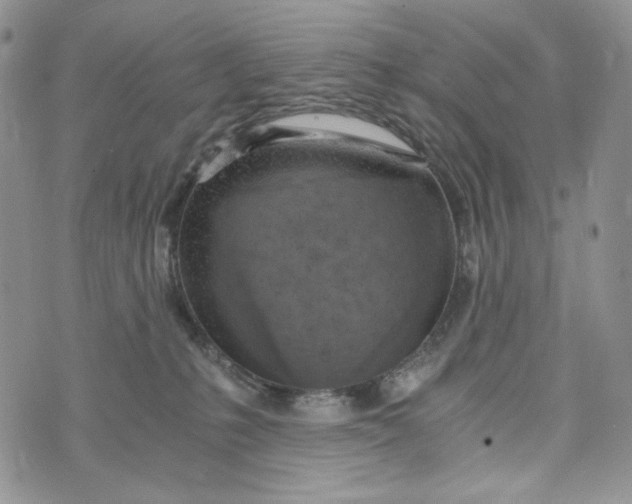 X0000072950231200608111633