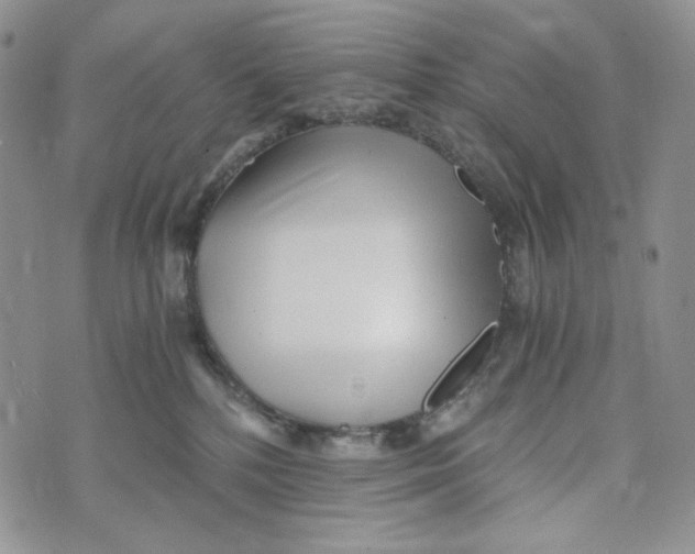 X0000072950232200608111633