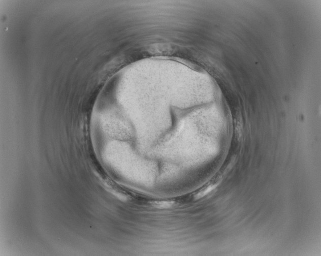 X0000072950233200608111633