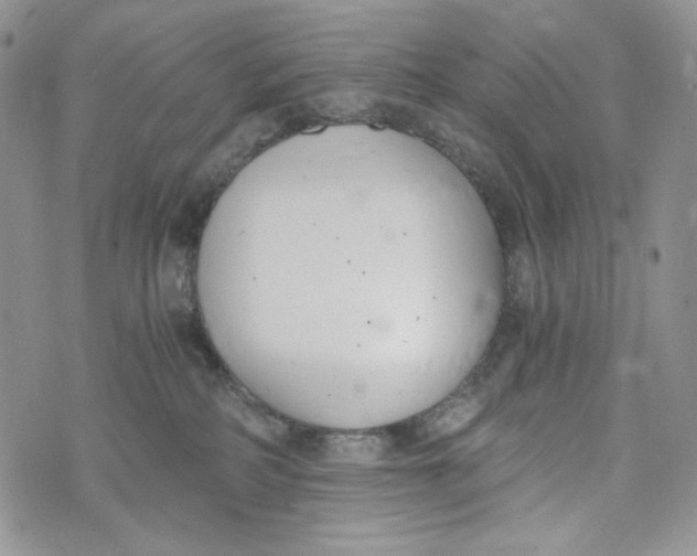 X0000072950234200608111633