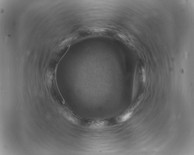 X0000072950235200608111633