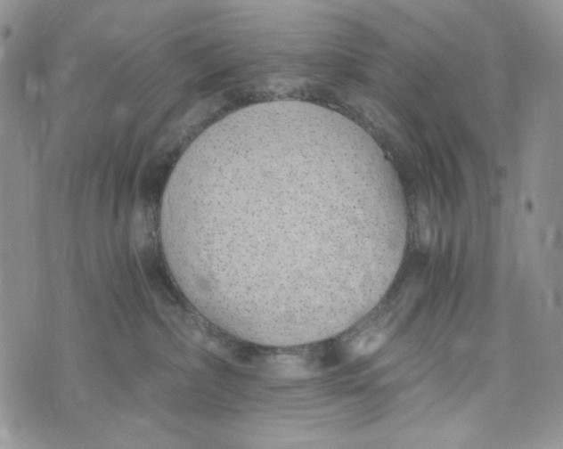 X0000072950236200608111633