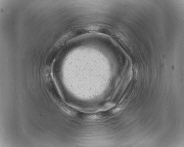 X0000072950237200608111633