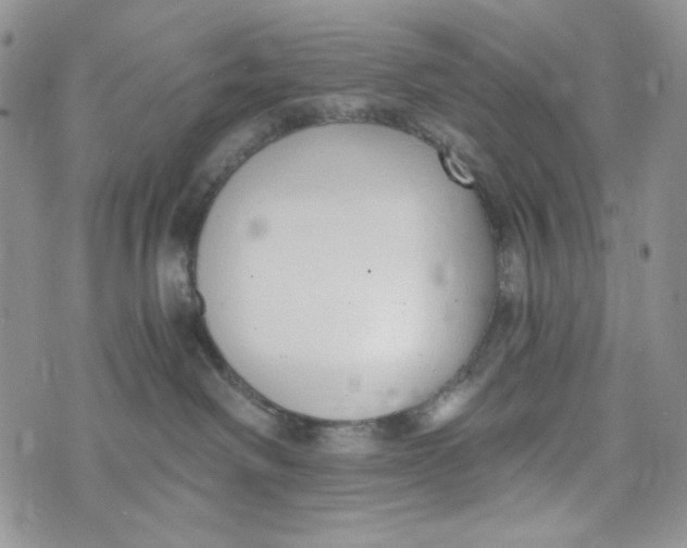 X0000072950238200608111633