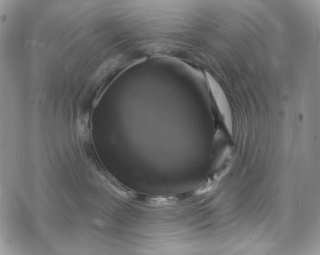 X0000072950239200608111633