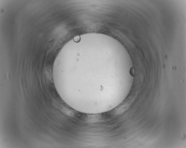 X0000072950240200608111633