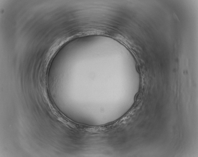 X0000072950241200608111633