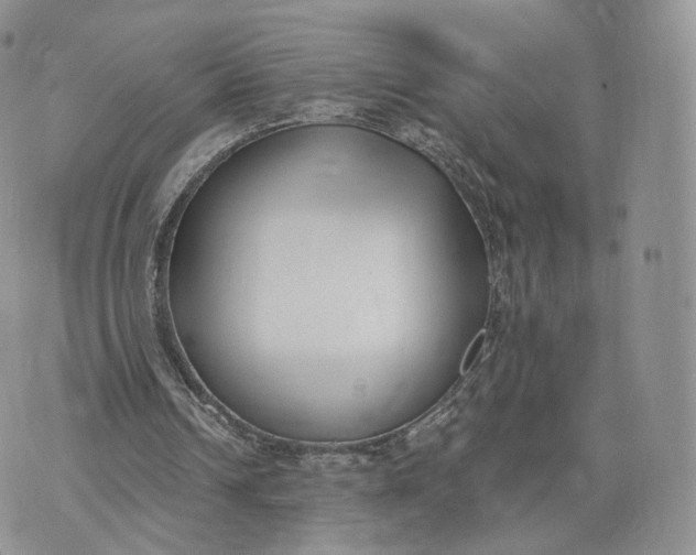 X0000072950242200608111633