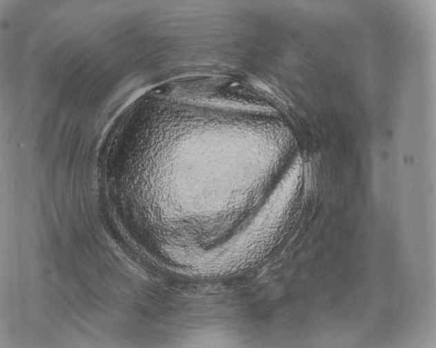 X0000072950243200608111633