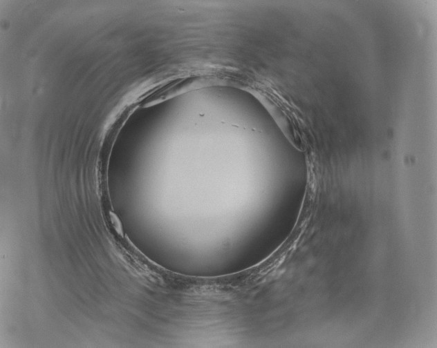 X0000072950244200608111633