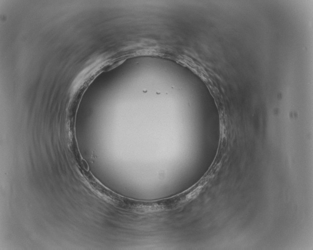 X0000072950245200608111633