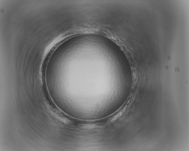 X0000072950246200608111633