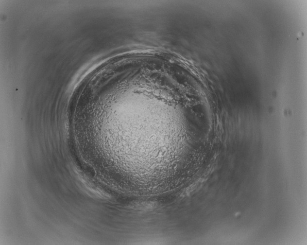 X0000072950247200608111633