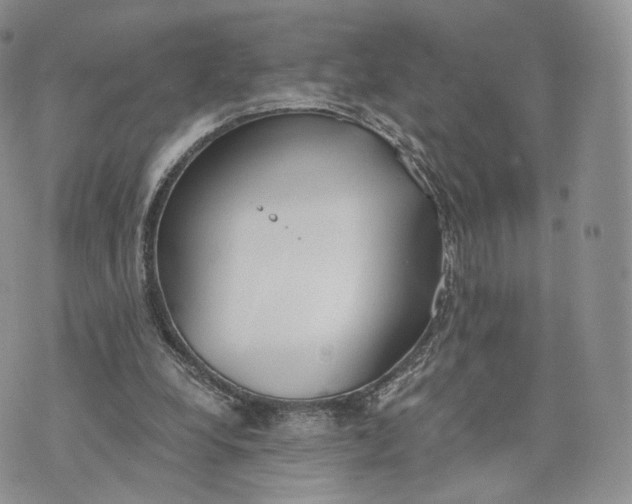 X0000072950248200608111633