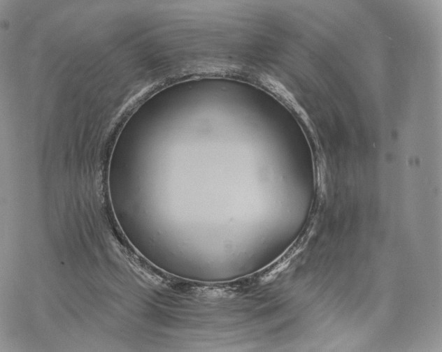 X0000072950249200608111633