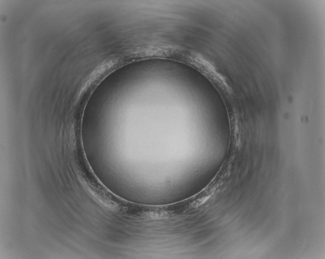 X0000072950250200608111633