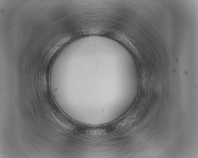 X0000072950251200608111633