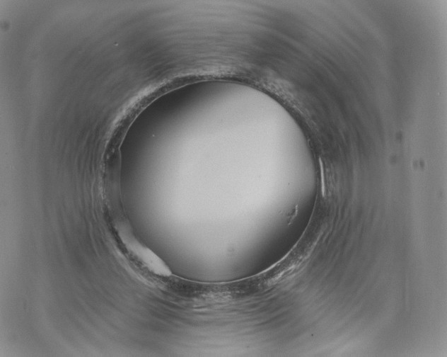 X0000072950252200608111633