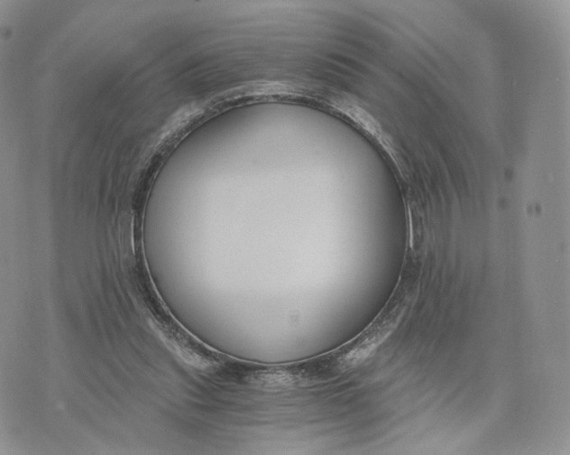 X0000072950253200608111633