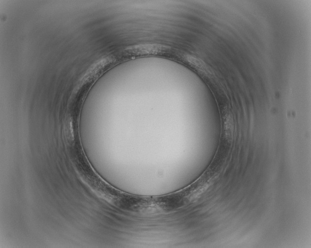 X0000072950254200608111633