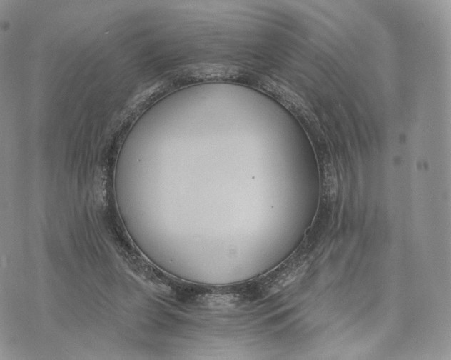 X0000072950255200608111633