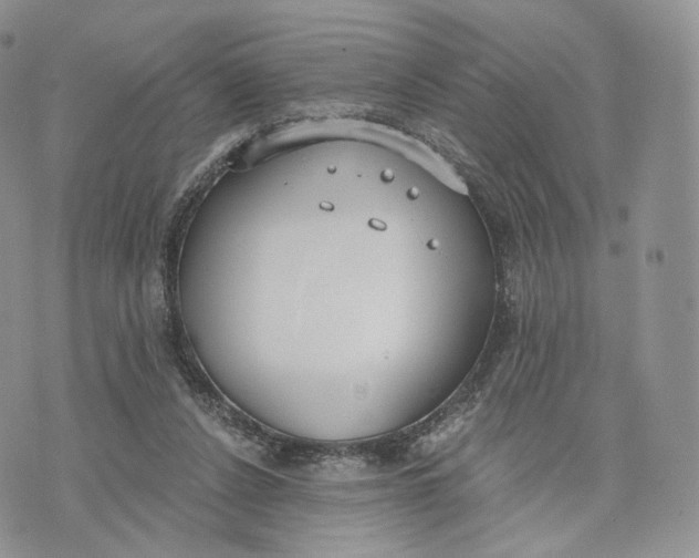 X0000072950256200608111633