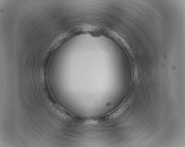 X0000072950257200608111633