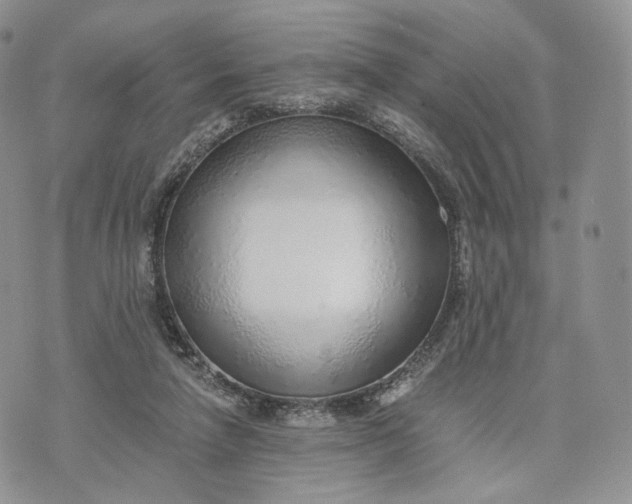 X0000072950258200608111633