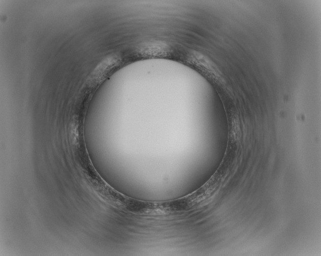 X0000072950259200608111633