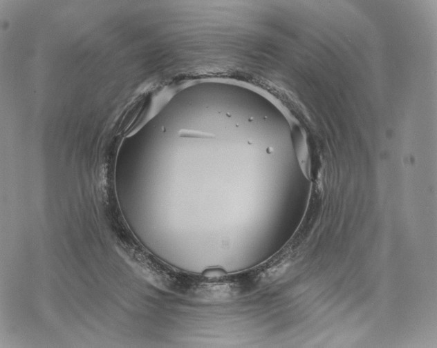 X0000072950260200608111633