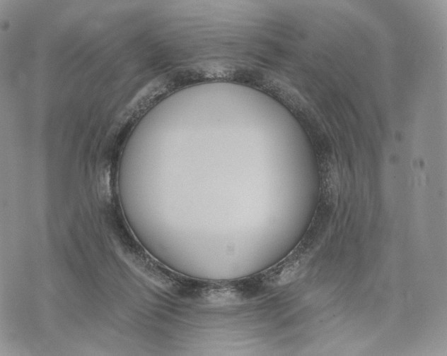 X0000072950262200608111633