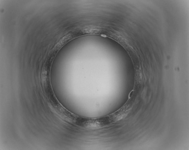 X0000072950263200608111633