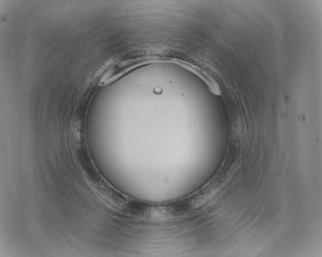 X0000072950264200608111633