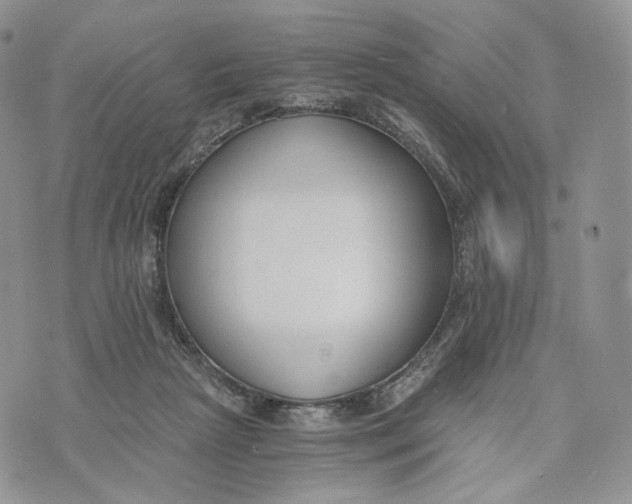 X0000072950265200608111633