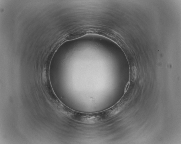 X0000072950267200608111633